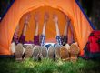 The Ultimate Camping Guide