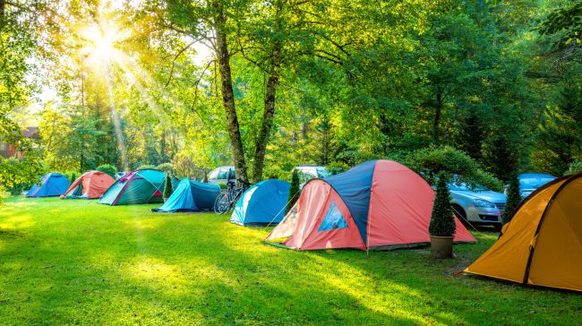 Sorry, No Vacancy: A Guide to Finding a Campsite When the Ground is Full Sorry, No Vacancy: A Guide to Finding a Campsite When the Ground is Full