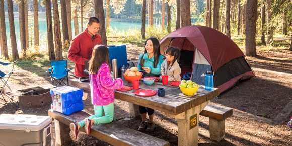 The Best Ways to Use Campground Picnic Areas The Best Ways to Use Campground Picnic Areas