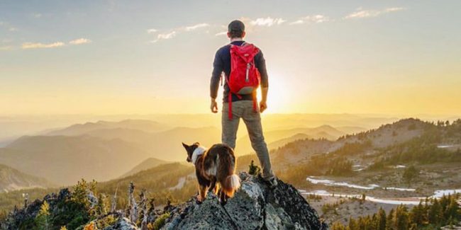 Training Your Dog for Camping Adventures Training Your Dog for Camping Adventures